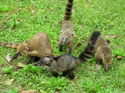 argentinien_originale 293.jpg